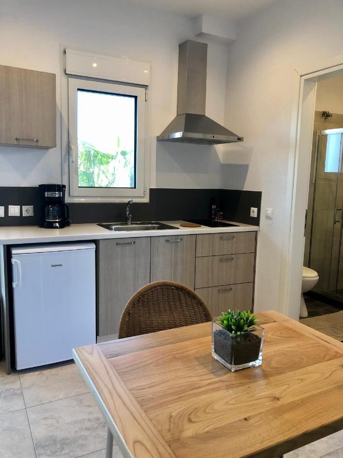 Vanessa House Luxury Apartments Скиатос Экстерьер фото